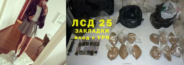 прущие грибы Ельня
