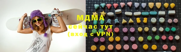 прущие грибы Ельня