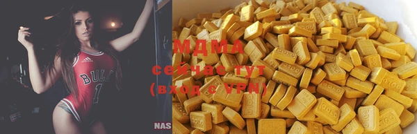 прущие грибы Ельня
