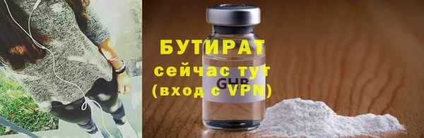 прущие грибы Ельня