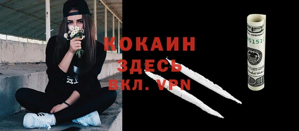 прущие грибы Ельня