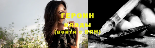 прущие грибы Ельня