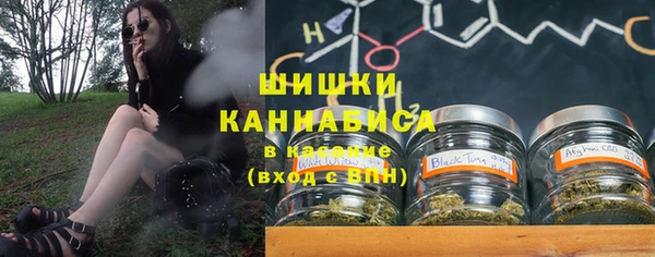 прущие грибы Ельня