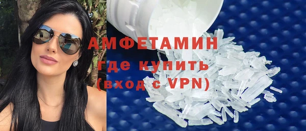 прущие грибы Ельня