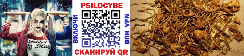 Псилоцибиновые грибы мицелий  Купить закладки  Кропоткин 